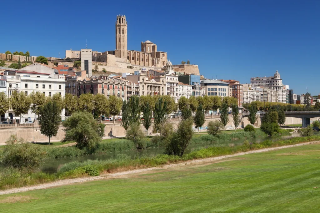hero humedades en Lleida