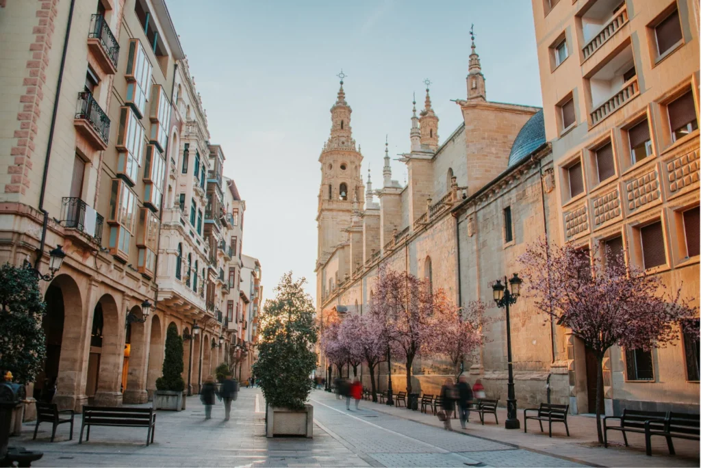 hero humedades en Logroño